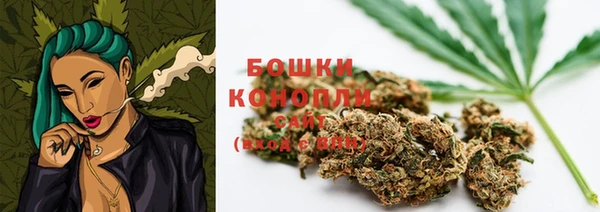 прущий лед Алзамай