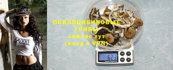 сатива Ладушкин