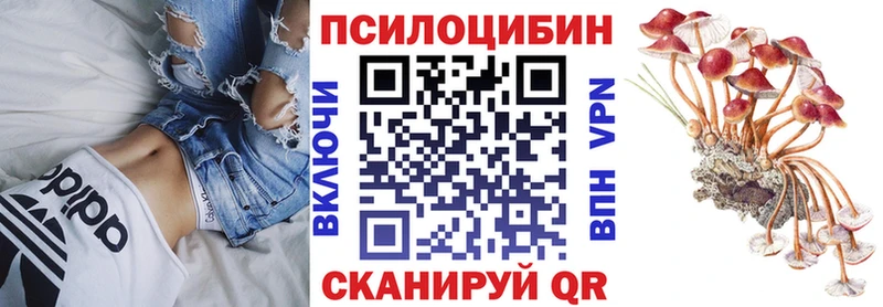 Галлюциногенные грибы GOLDEN TEACHER  Самара 