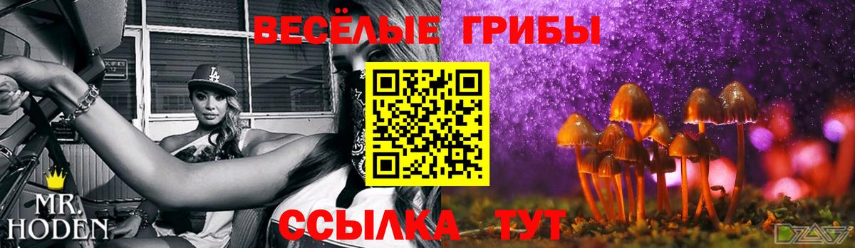Самара  Галлюциногенные грибы Magic Shrooms  Вход с VPN 
