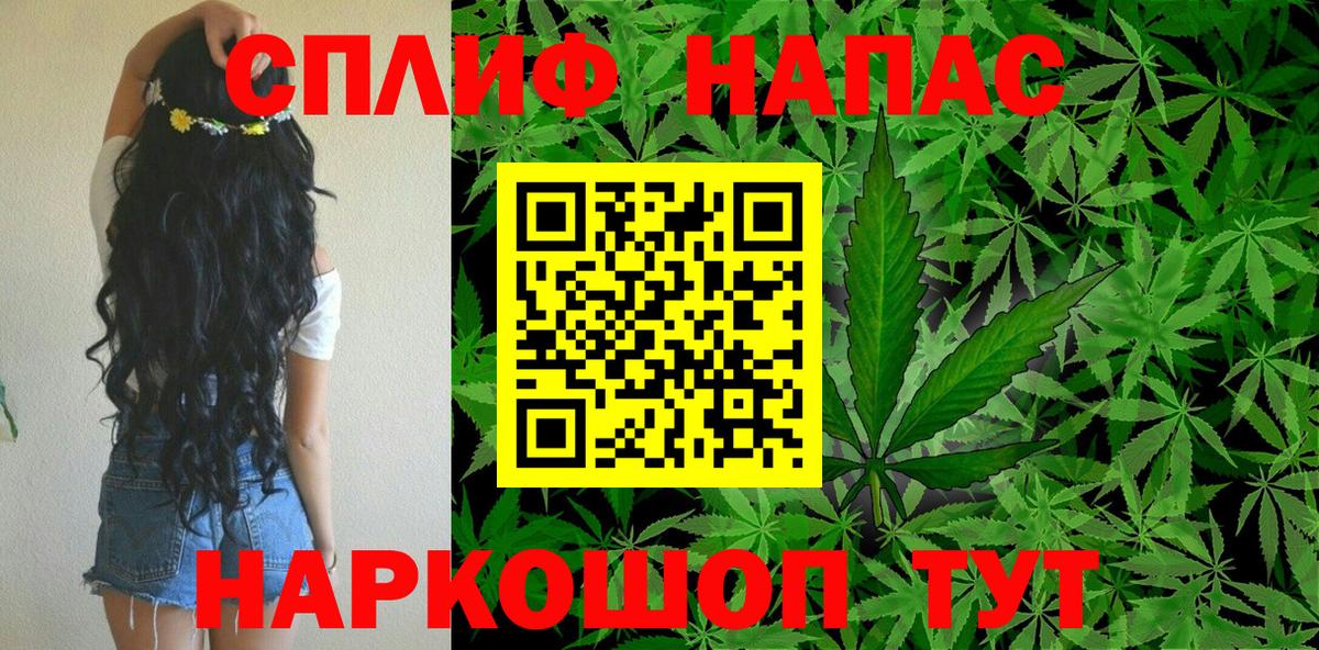 Конопля гибрид Самара